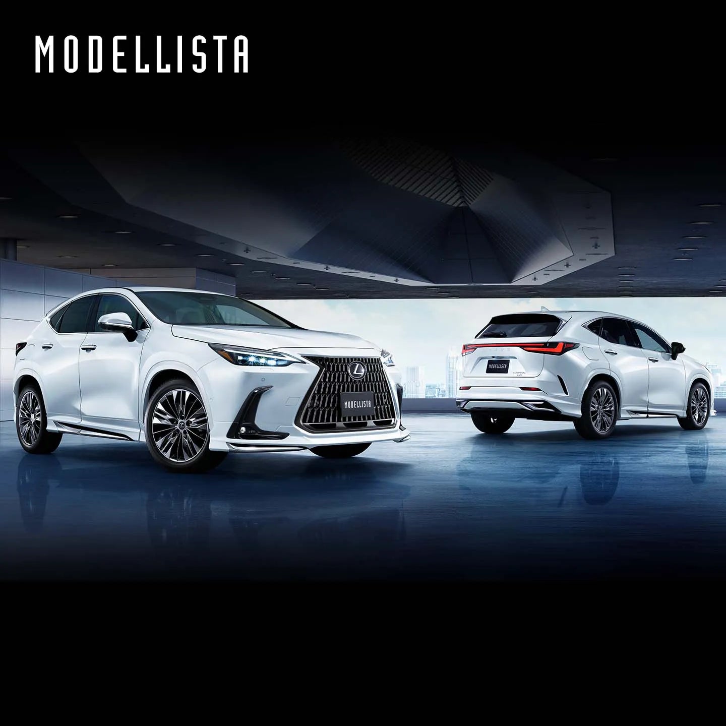 MODELLISTA NX (Black Glass Flake 223)